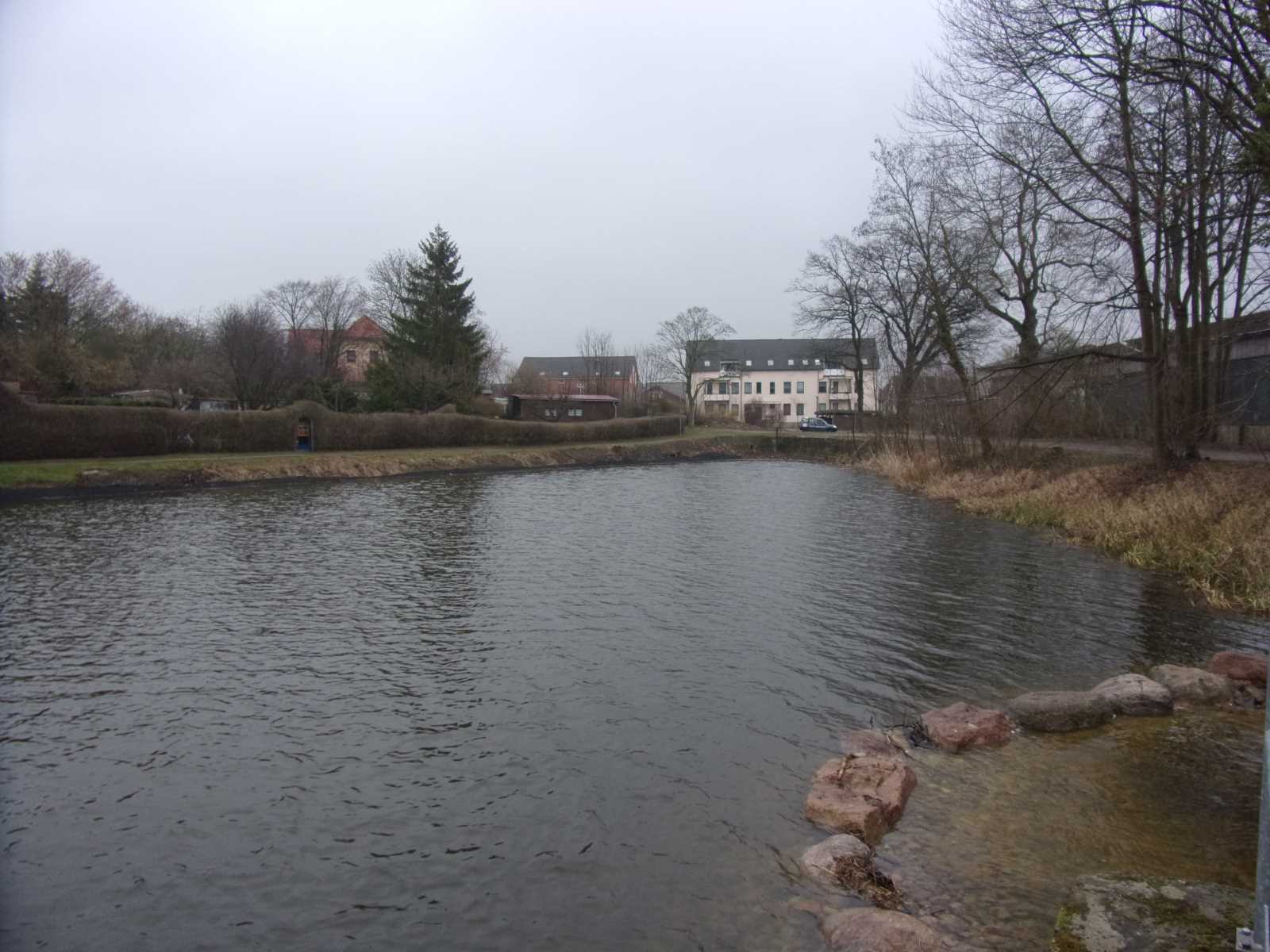05_Hellteich_gefüllt_2019 © STALU VP 05_Hellteich_gefüllt_2019