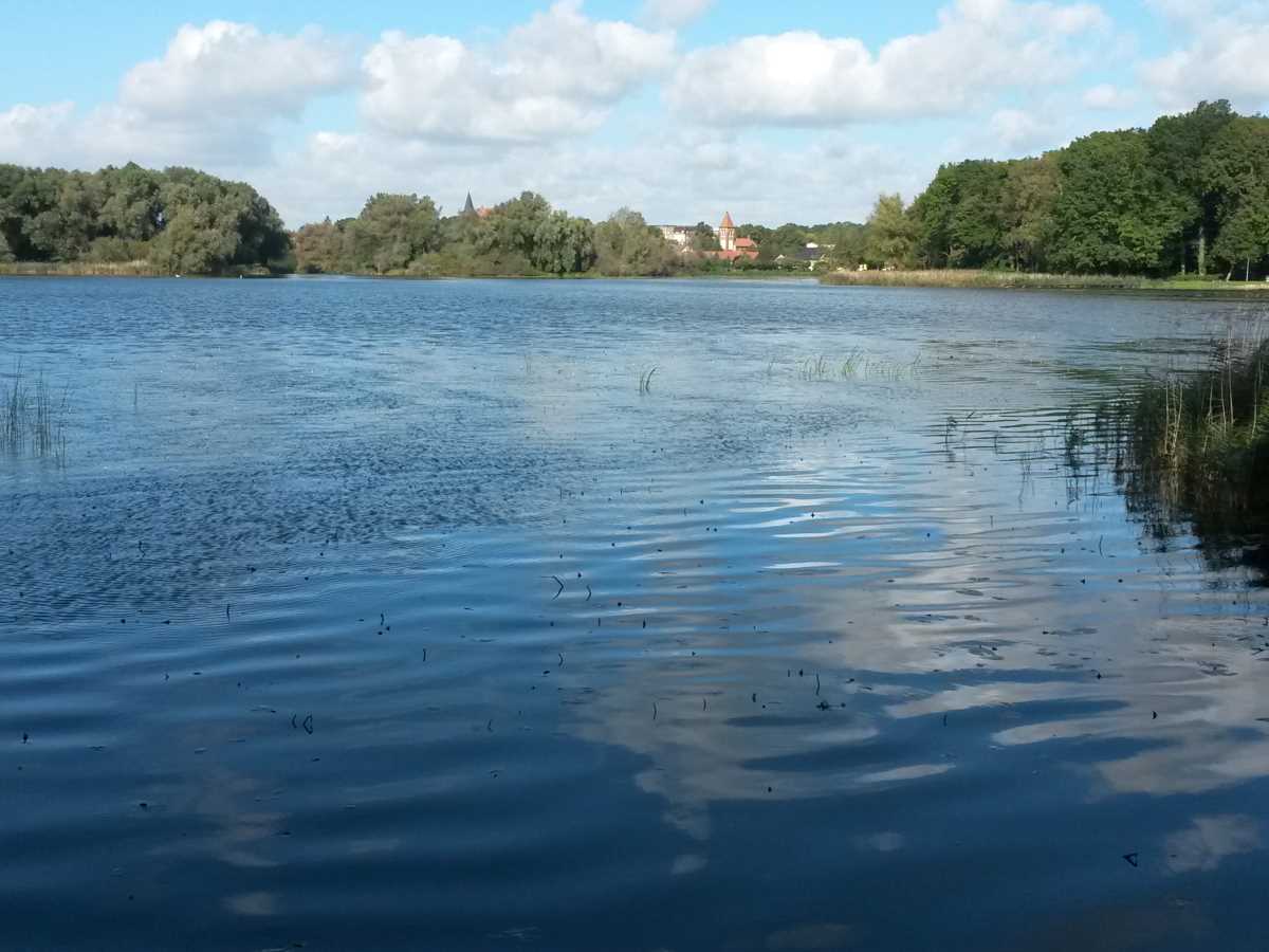2014 Strasburger Stadtsee (nachher) © STALU VP 2014 Strasburger Stadtsee (nachher)