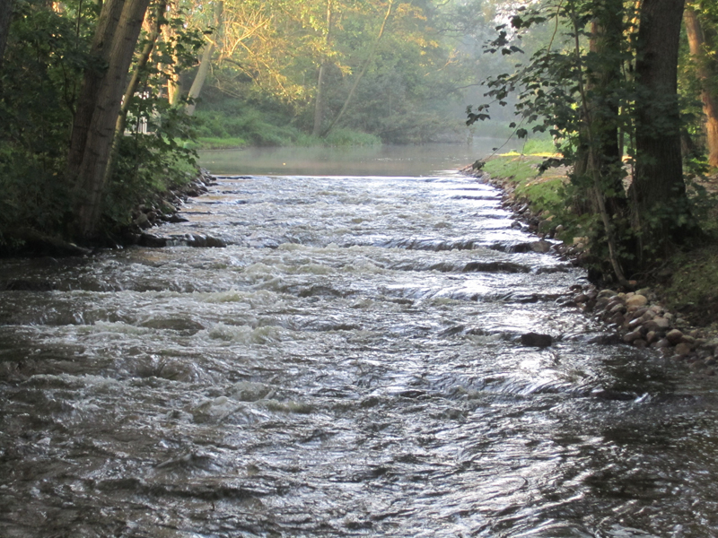 Neubau des Fischaufstiegs mit verbundenem Rückbau des Aalfangs in der Warnow bei Weitendorf