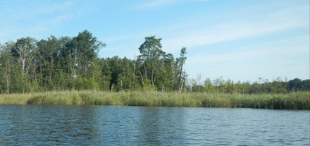 Großer Koblentzer See