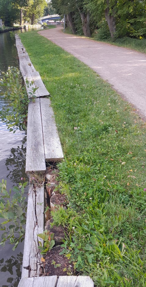 Uferbefestigung
