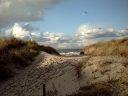 Dünenübergang in Warnemünde