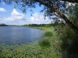 Der Inselsee Güstrow - NSG und GGB
