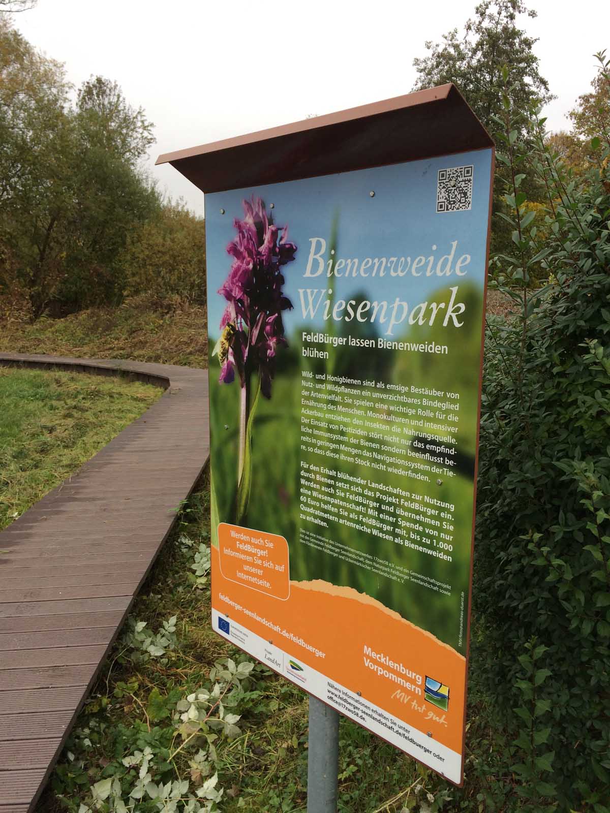 LEADER-Projekt Bienenweide Wiesenpark