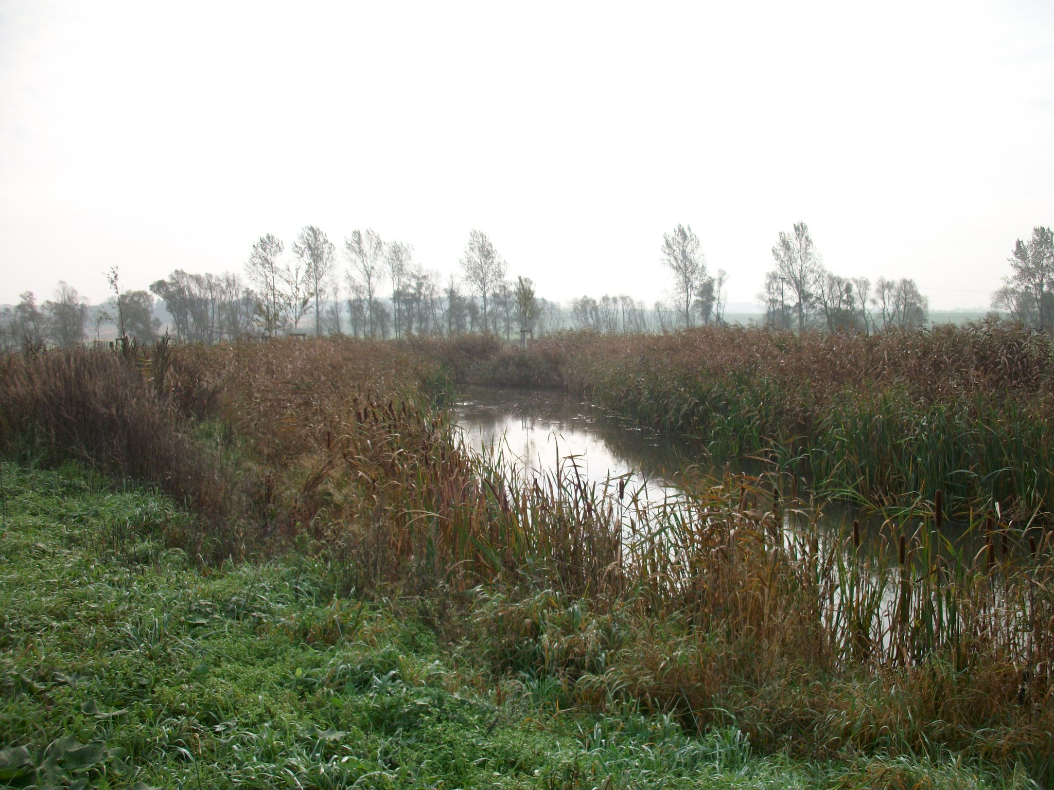 2014 Altarm nach Fertigstellung
