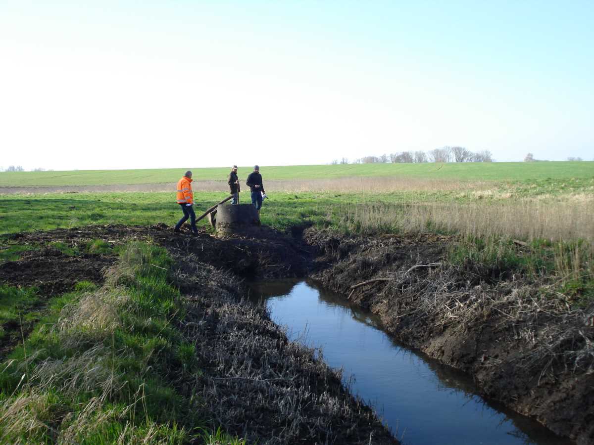 (3) Rückbau Absturzschacht und Durchlass – Ausgleich des > 1 m Absturzes - Foto1