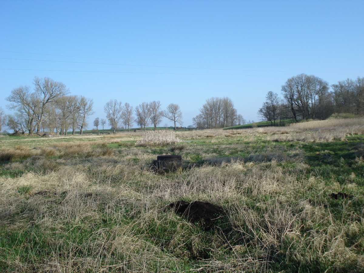 (1) Verrohrtes Gewässer – Wiese bei Dambeck Vorher: Verrohrung und Schacht