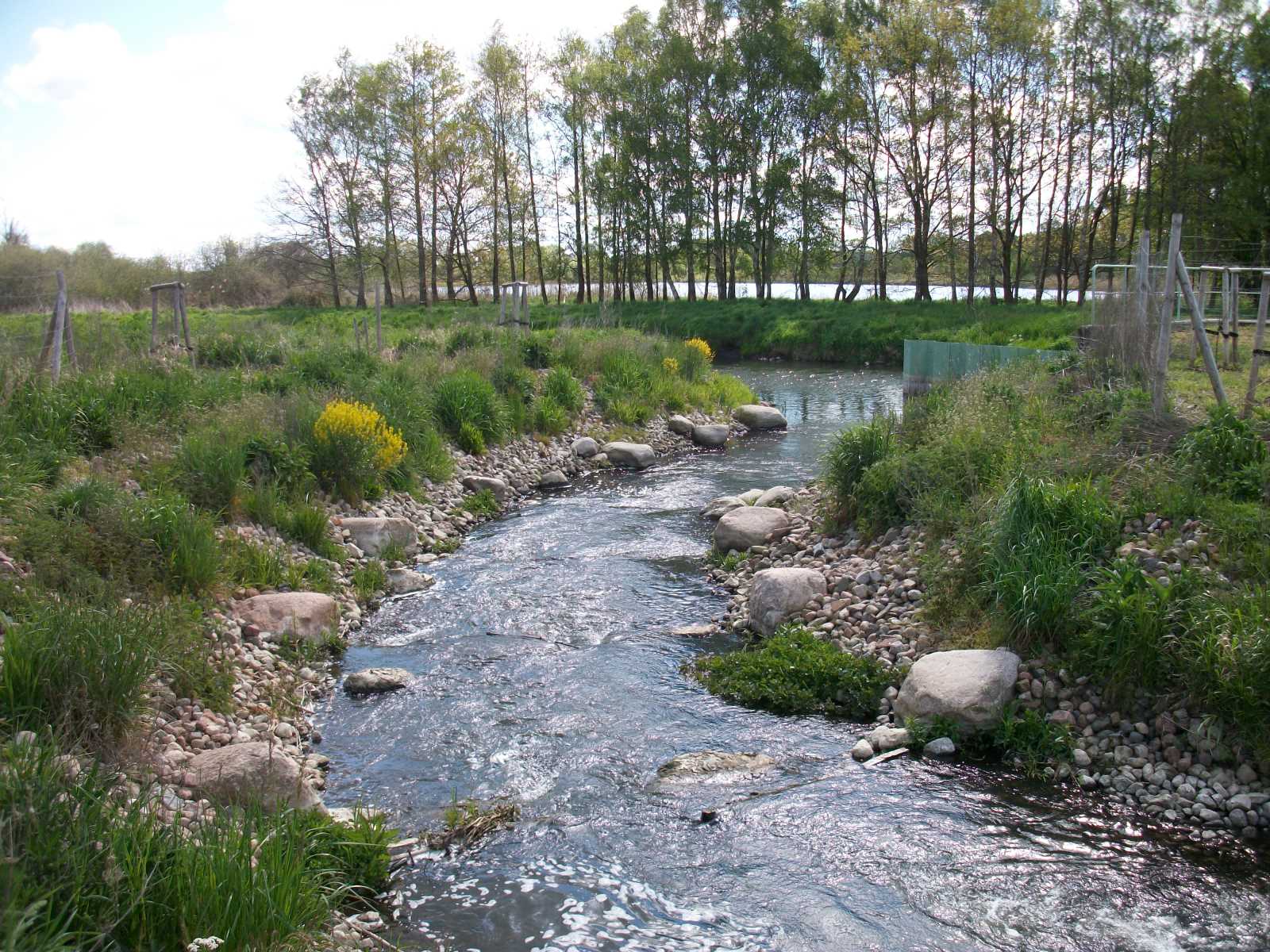 Fischaufstiegsanlage - Richtung Unterwasser