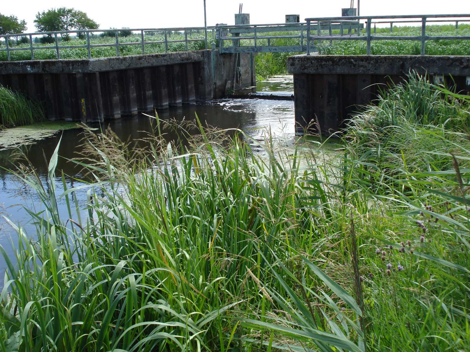 03__2013-07-17_Wehr Menkin_vorher