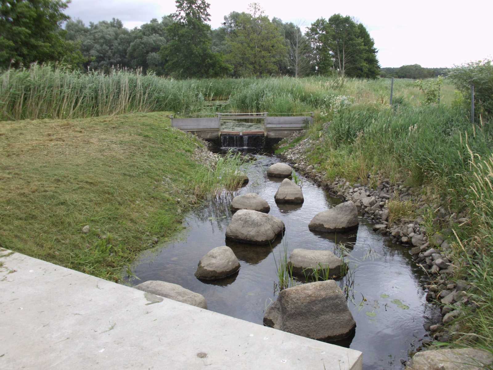 Fischaufstiegsanlage Wehr Löcknitz