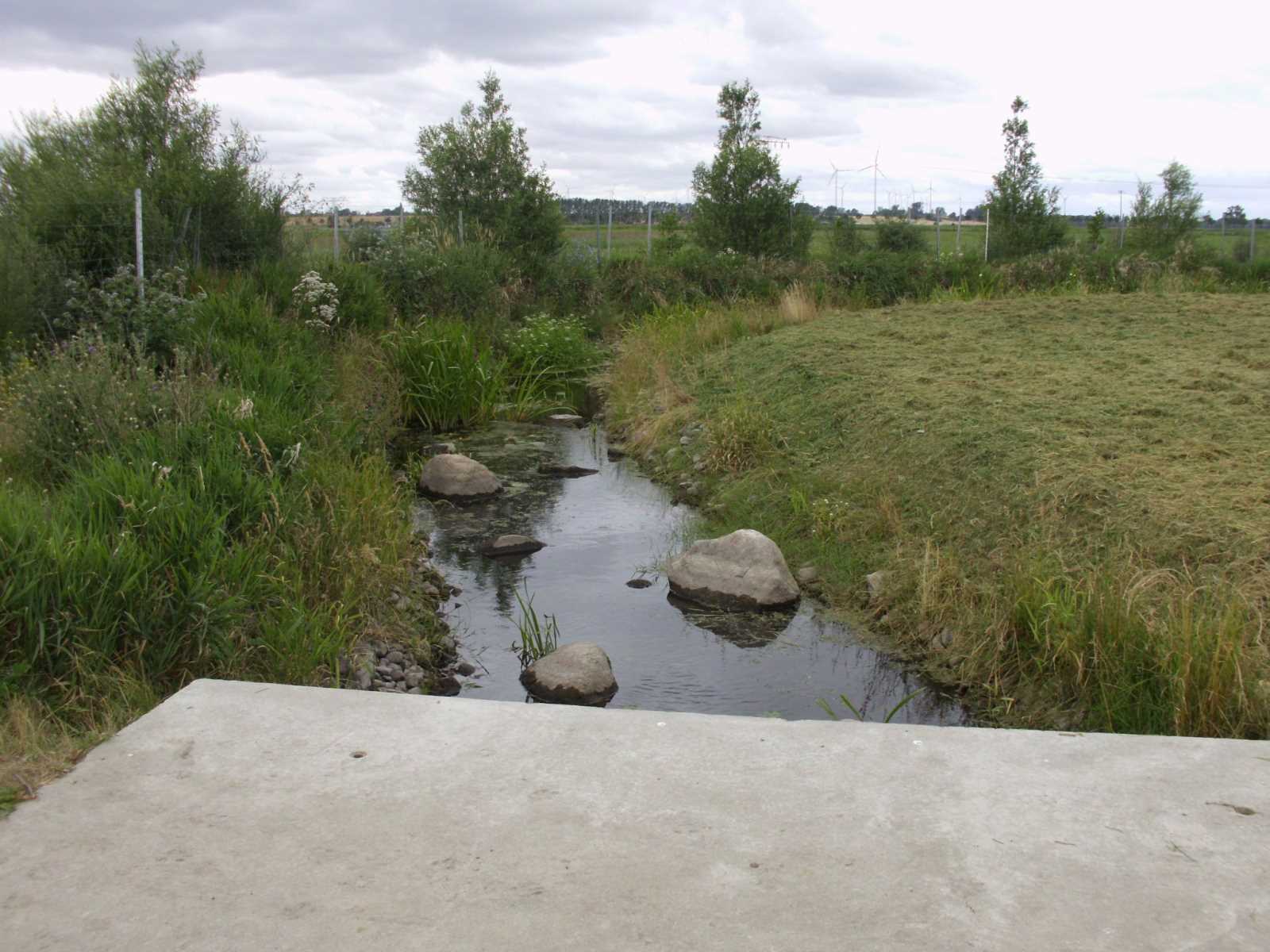 Fischaufstiegsanlage Wehr Löcknitz