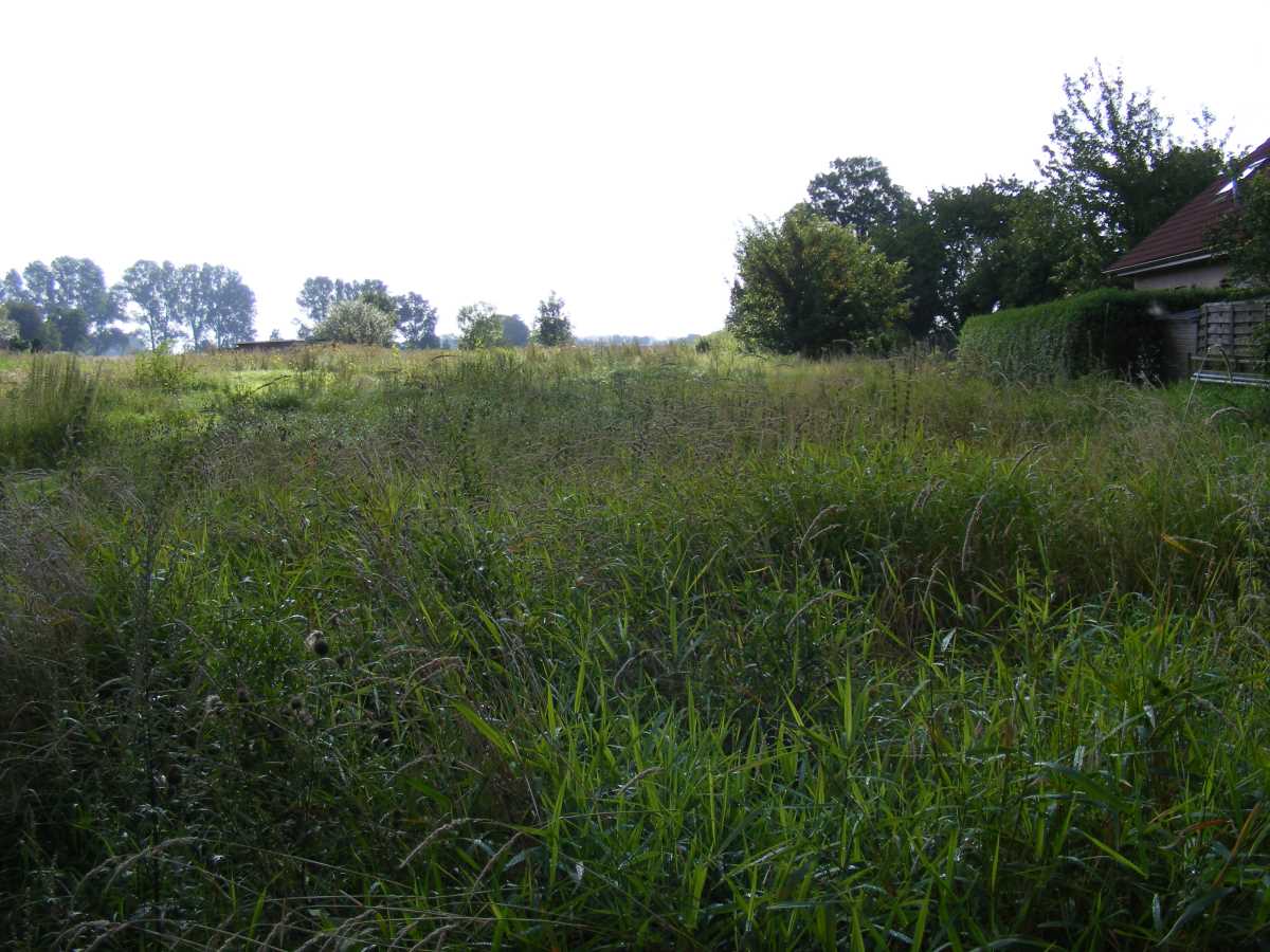 2013 Verrohrungsabschnitt (vorher)
