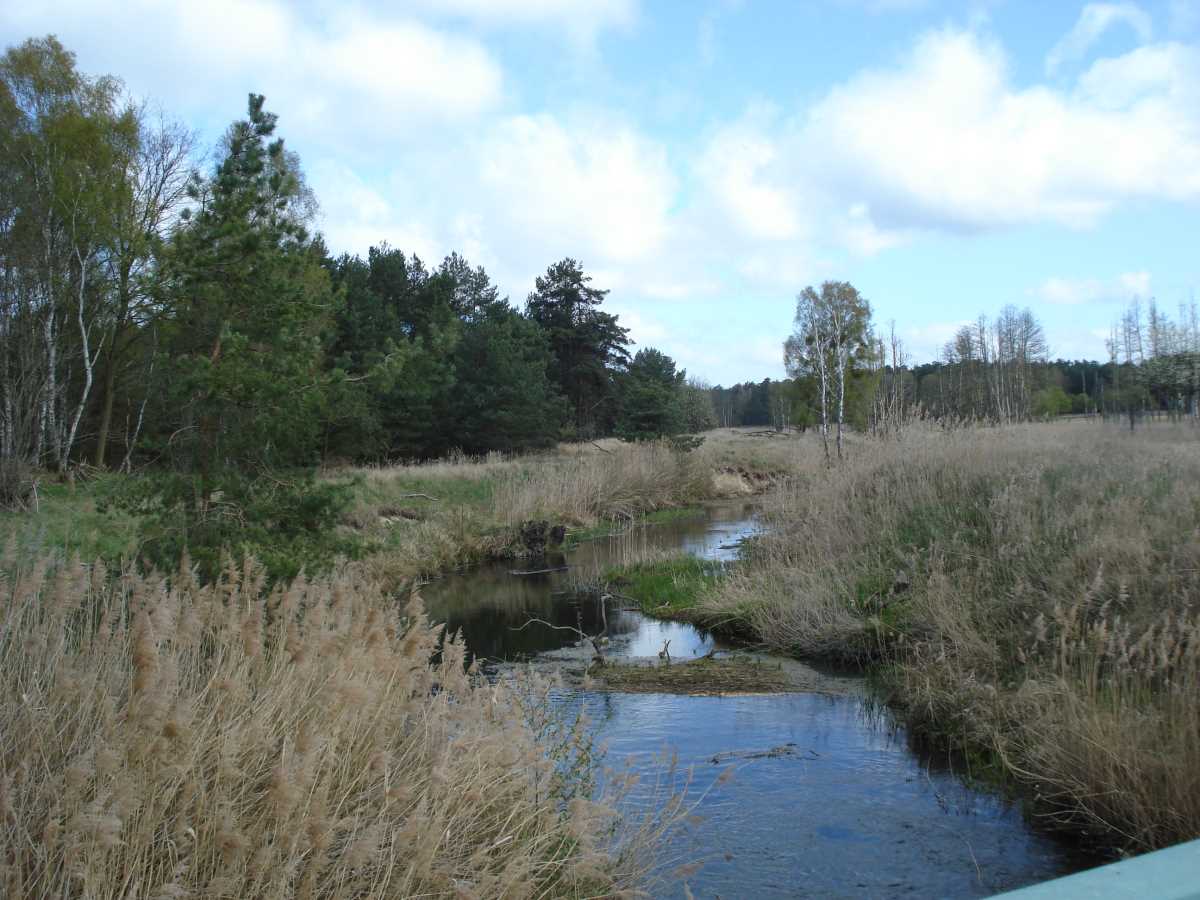 Randow bei Jägerbrück