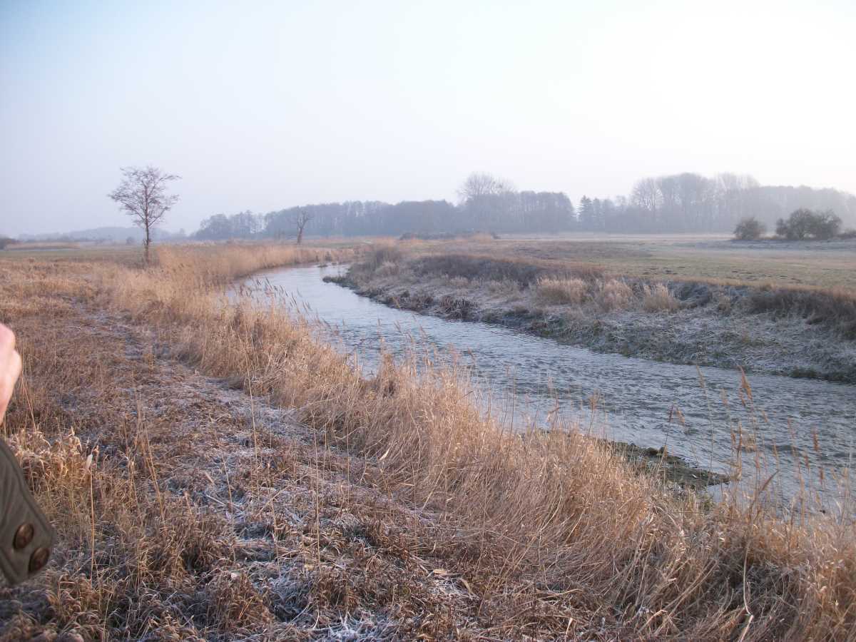 2018 Uecker oberhalb Pasewalk