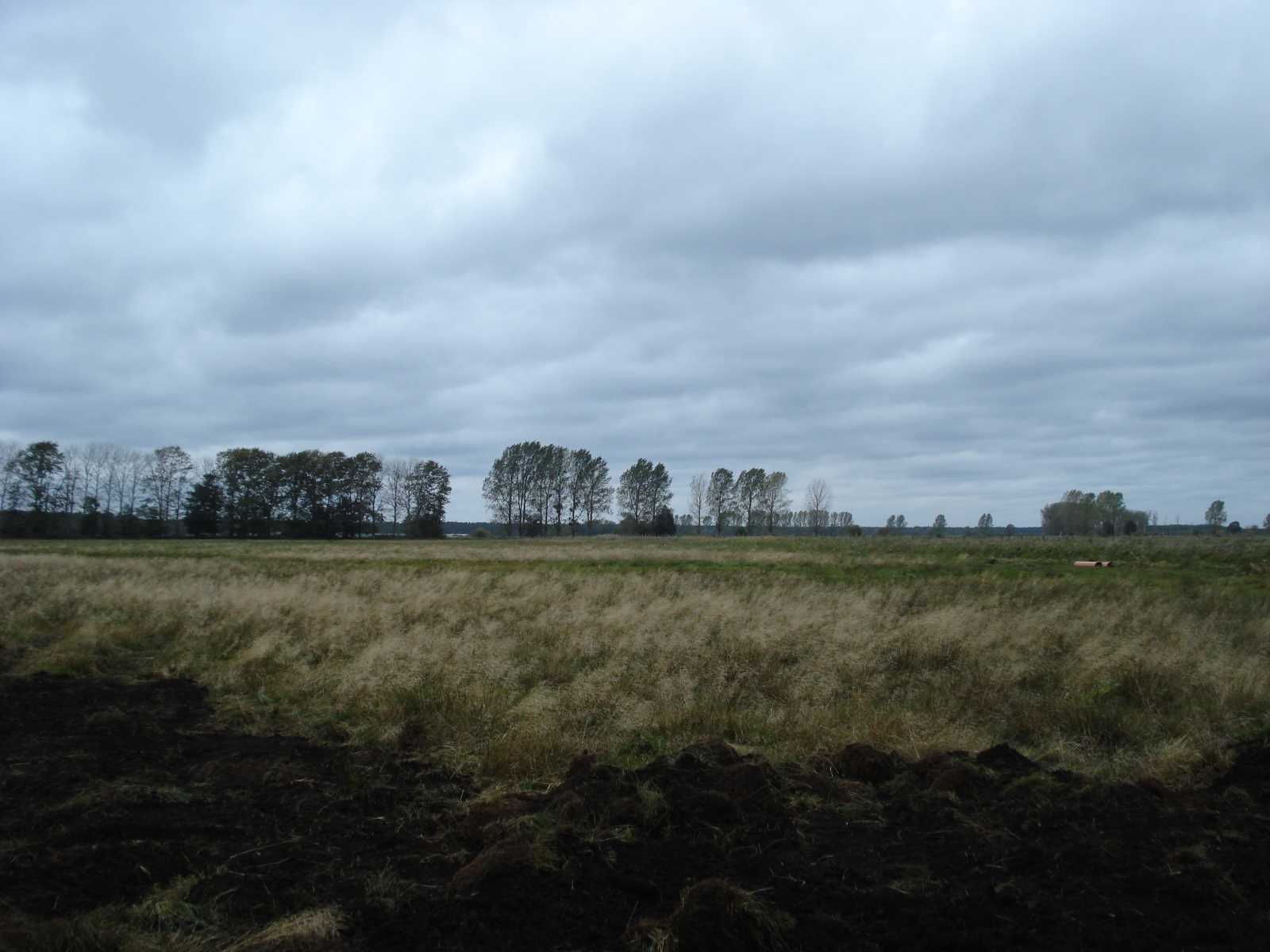 Latzigseegraben Wiese vorher