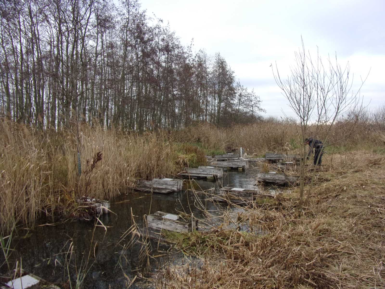 Latzigsee Fischtreppe vorher