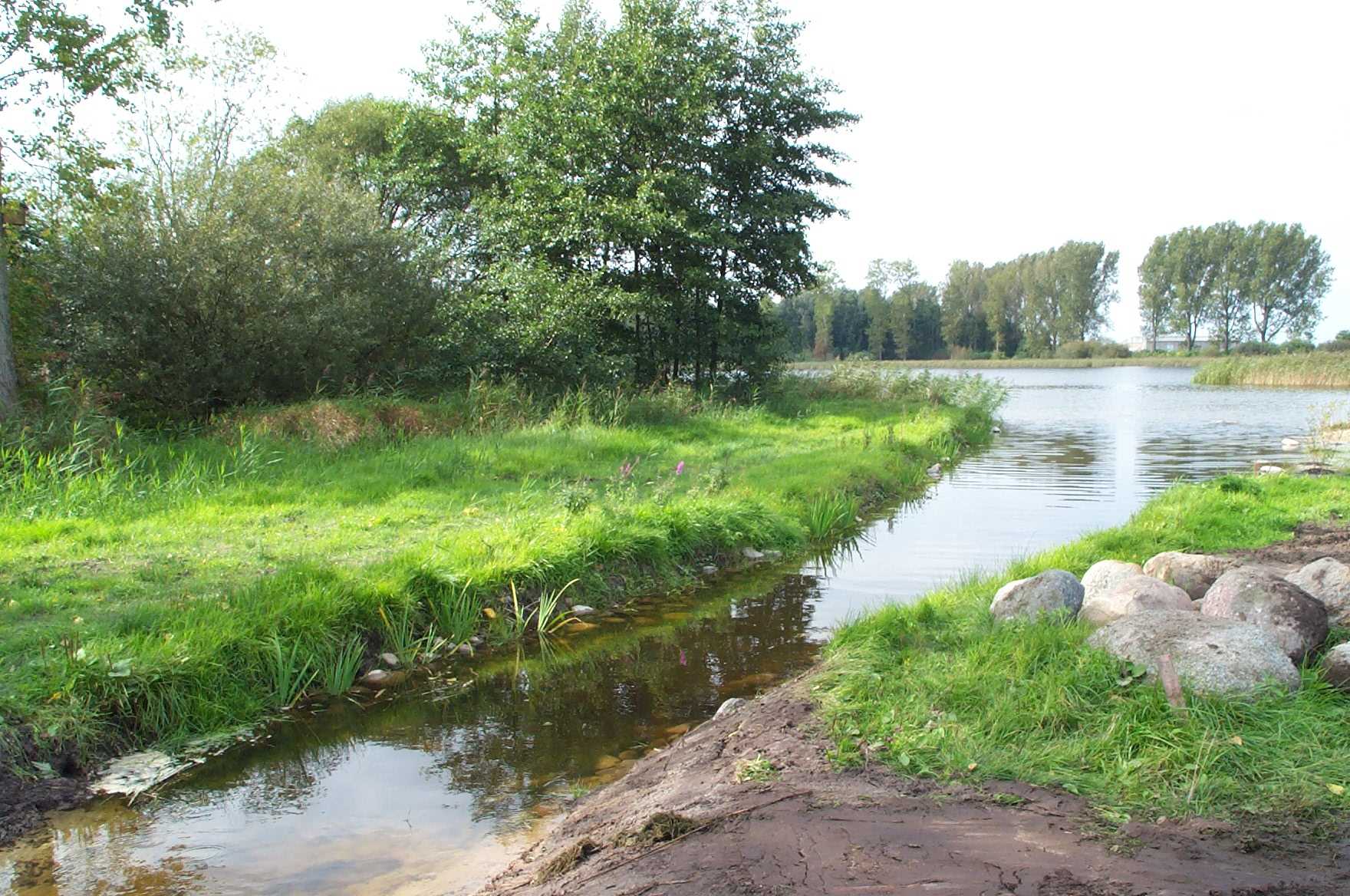 2011 Neuer Auslauf des Pelsiner Sees (nachher)