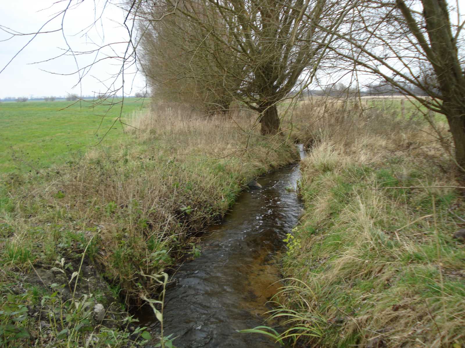 2017 Offener Niederungsbach (nachher)