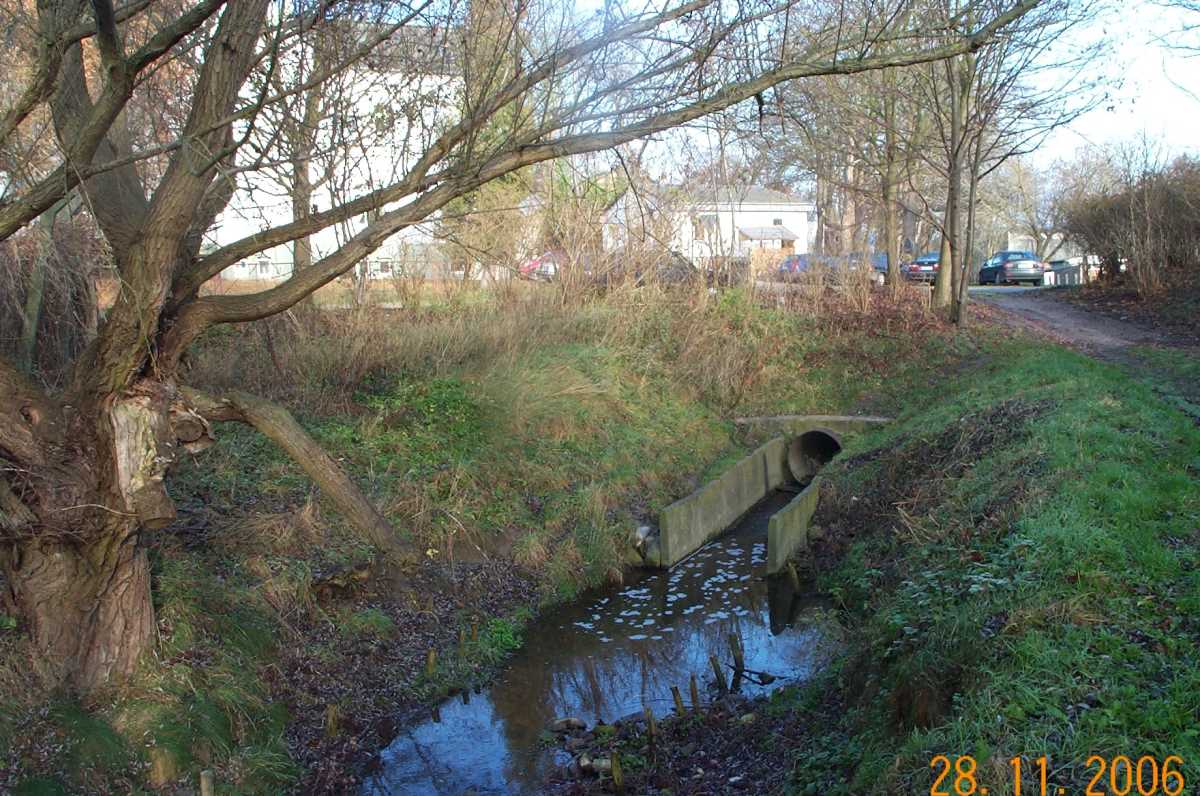 2006 Müntzerstraße Auslauf