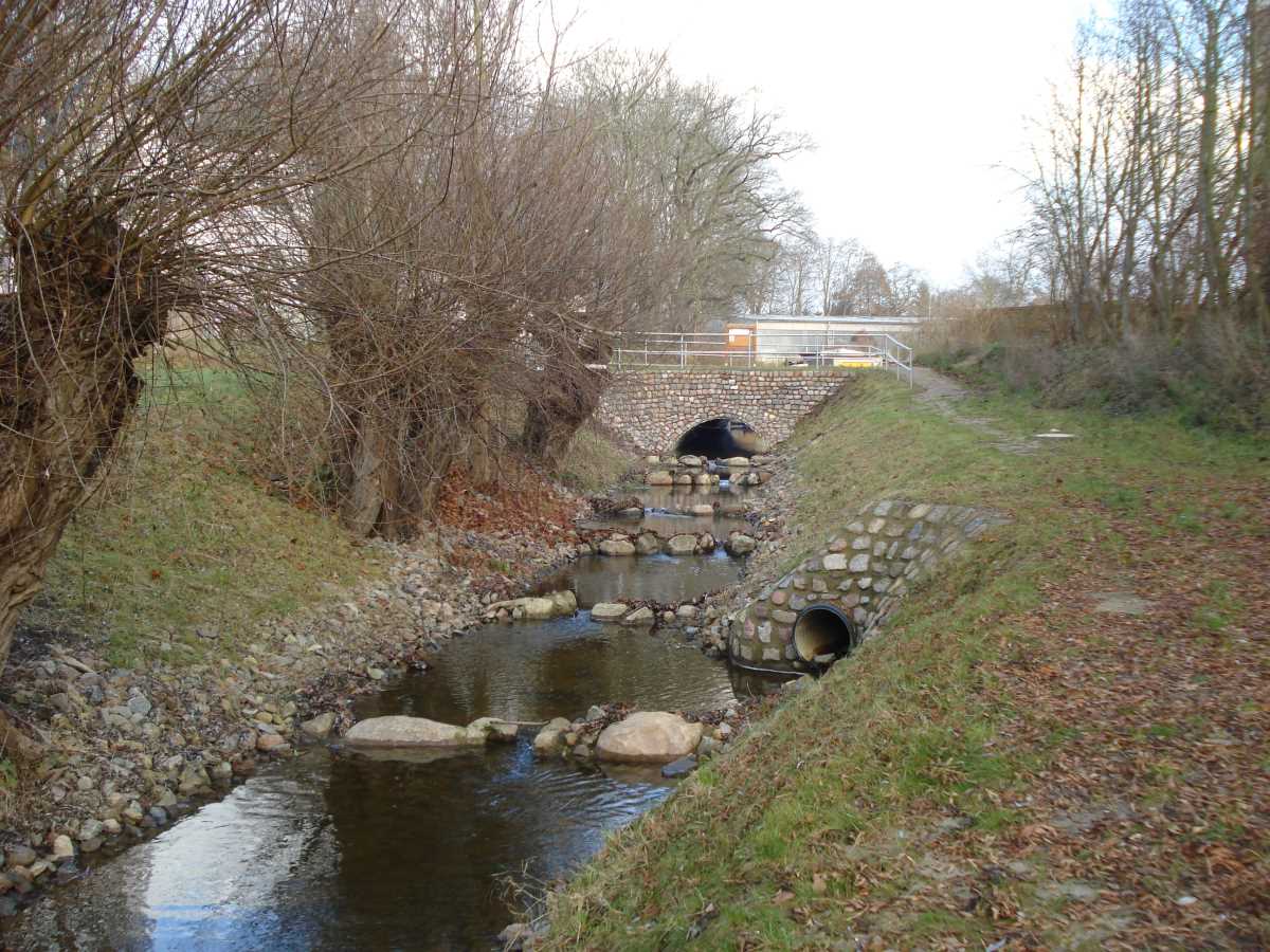 2014 Müntzerstraße Auslauf