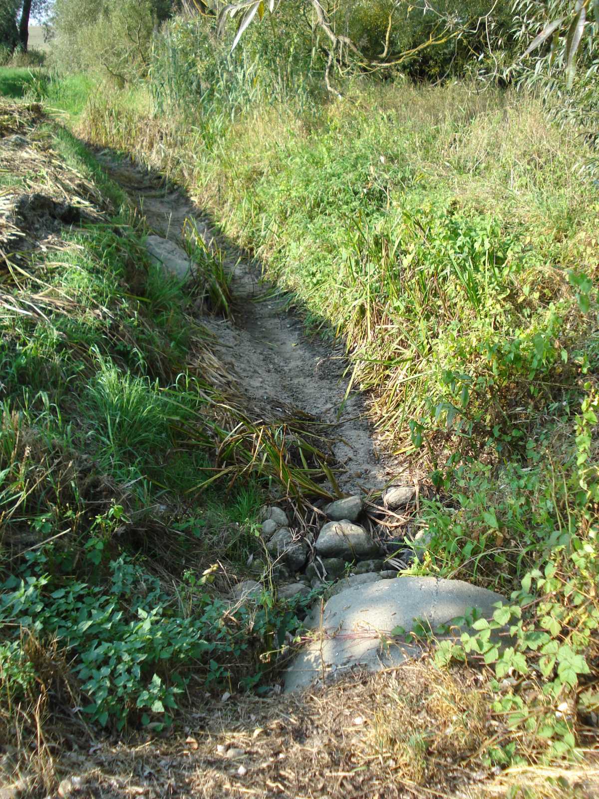 2016 Durchlass mit Absturz