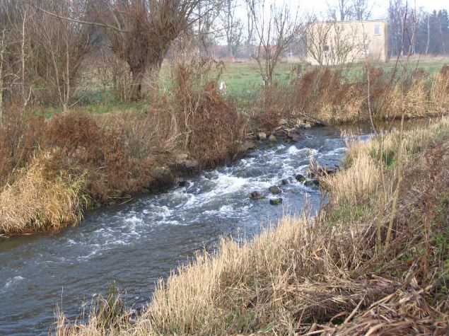 2008 Swinow-Pferdekoppel am Pflegeheim