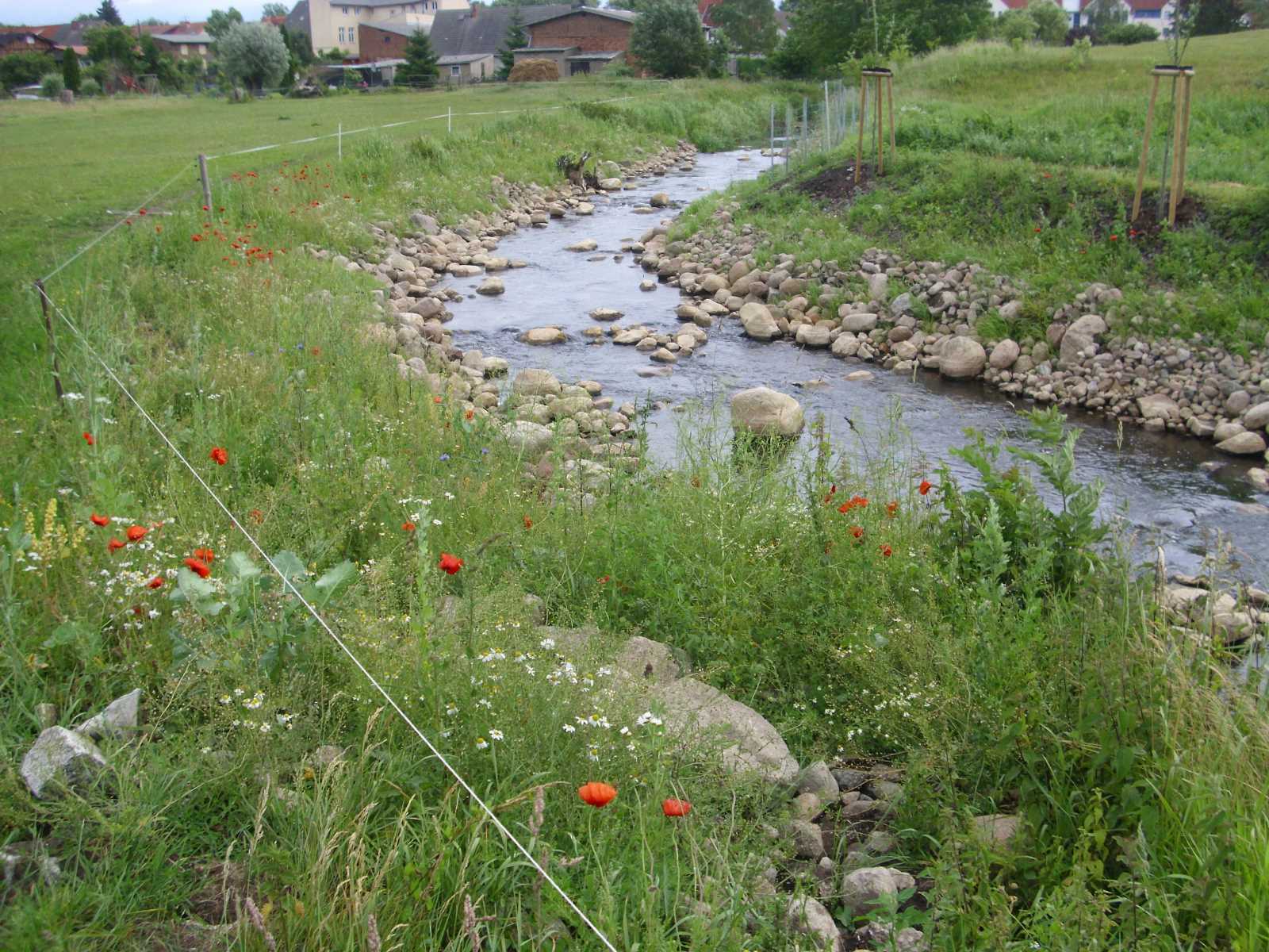 2012 Swinow-Pferdekoppel am Pflegeheim