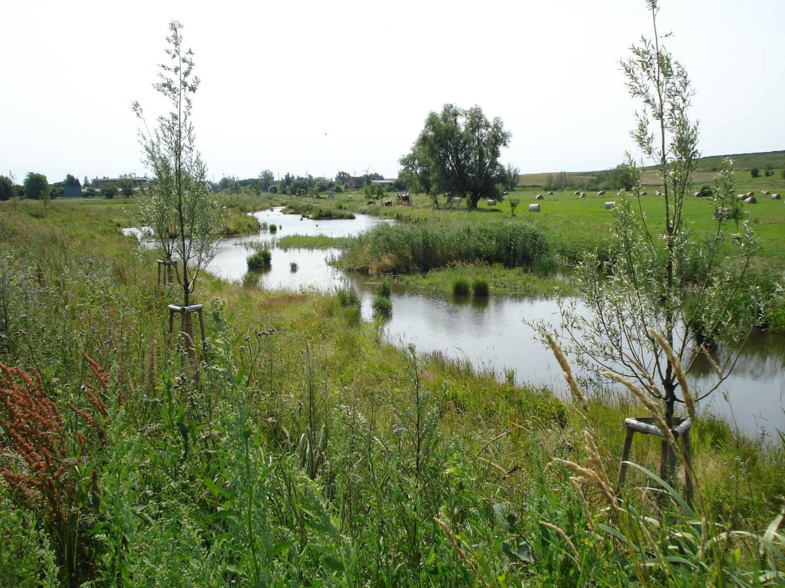 2013 oberhalb der Brücke Liebenthal