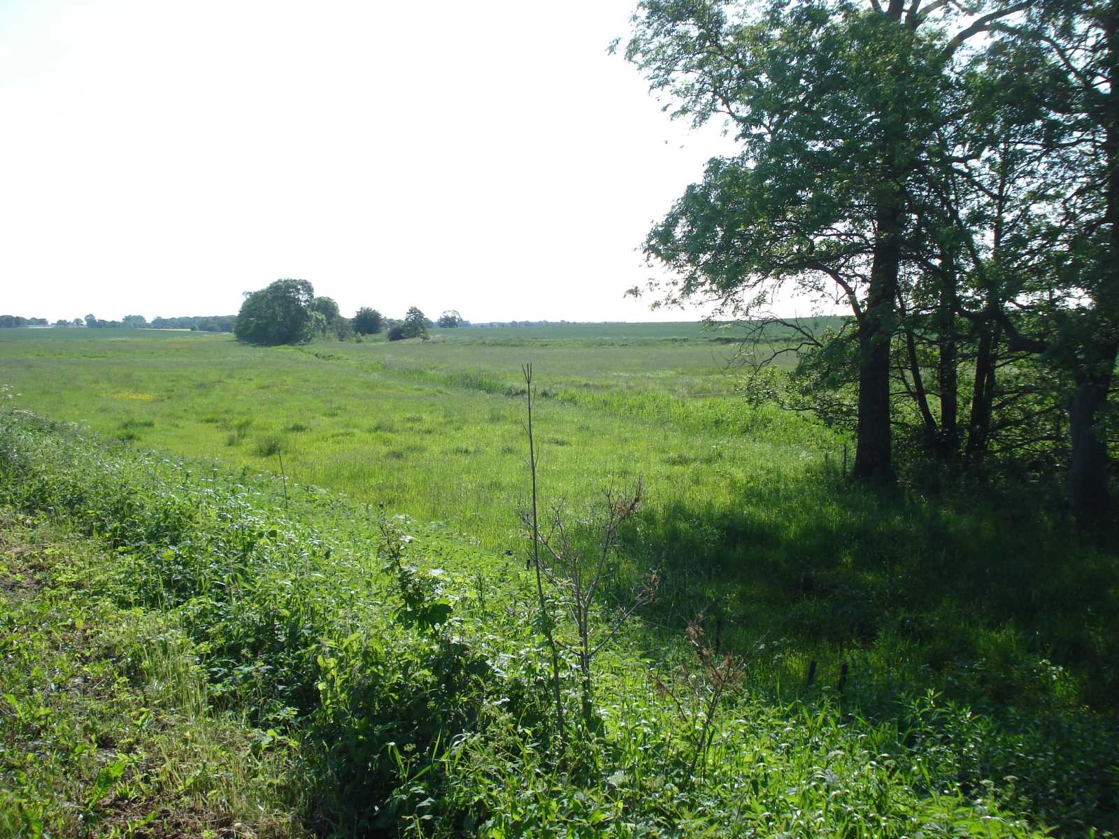 2013 Swinow oberhalb der Straßenbrücke bei Upatel