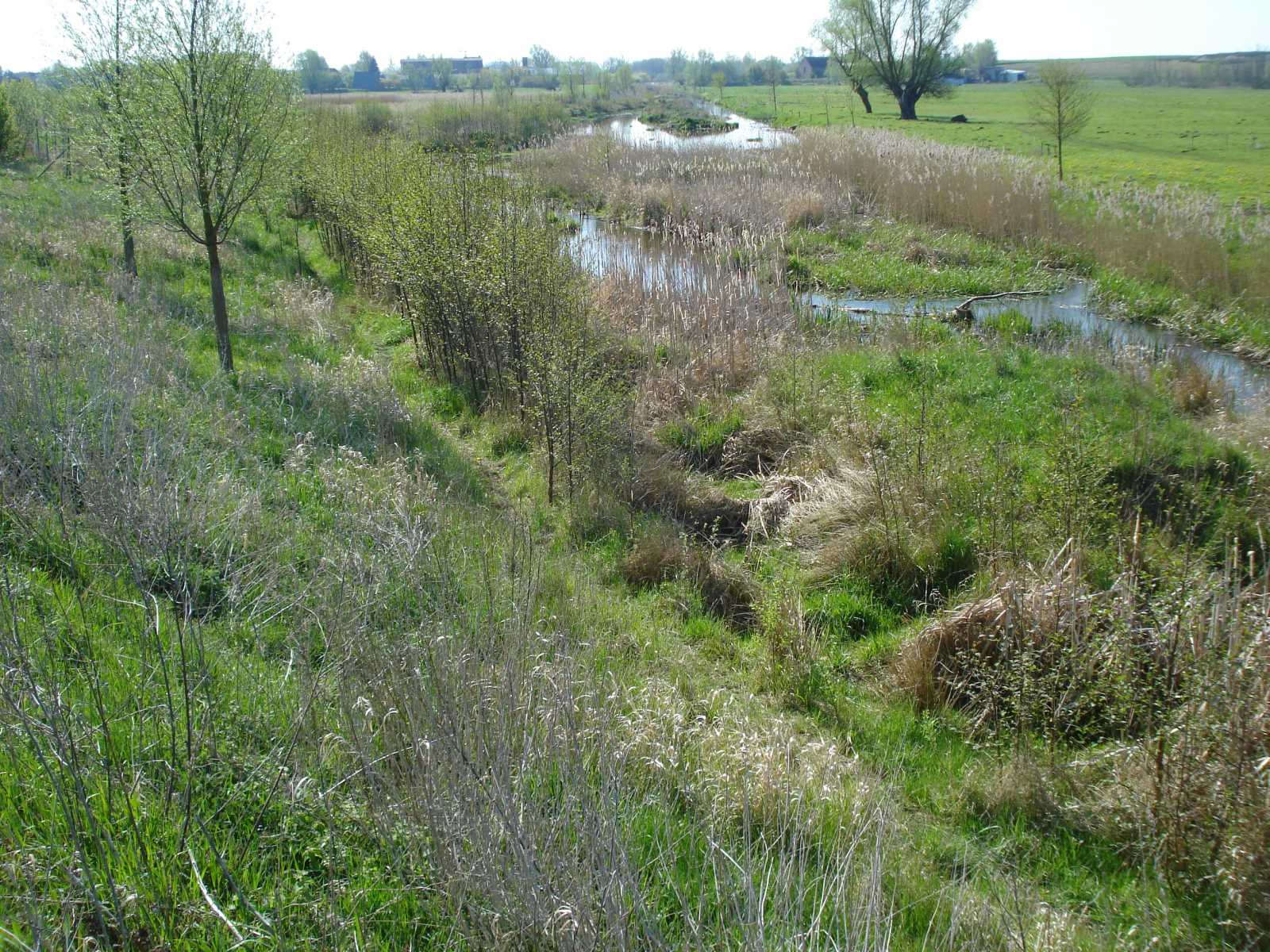 2016 oberhalb Brücke Liebenthal