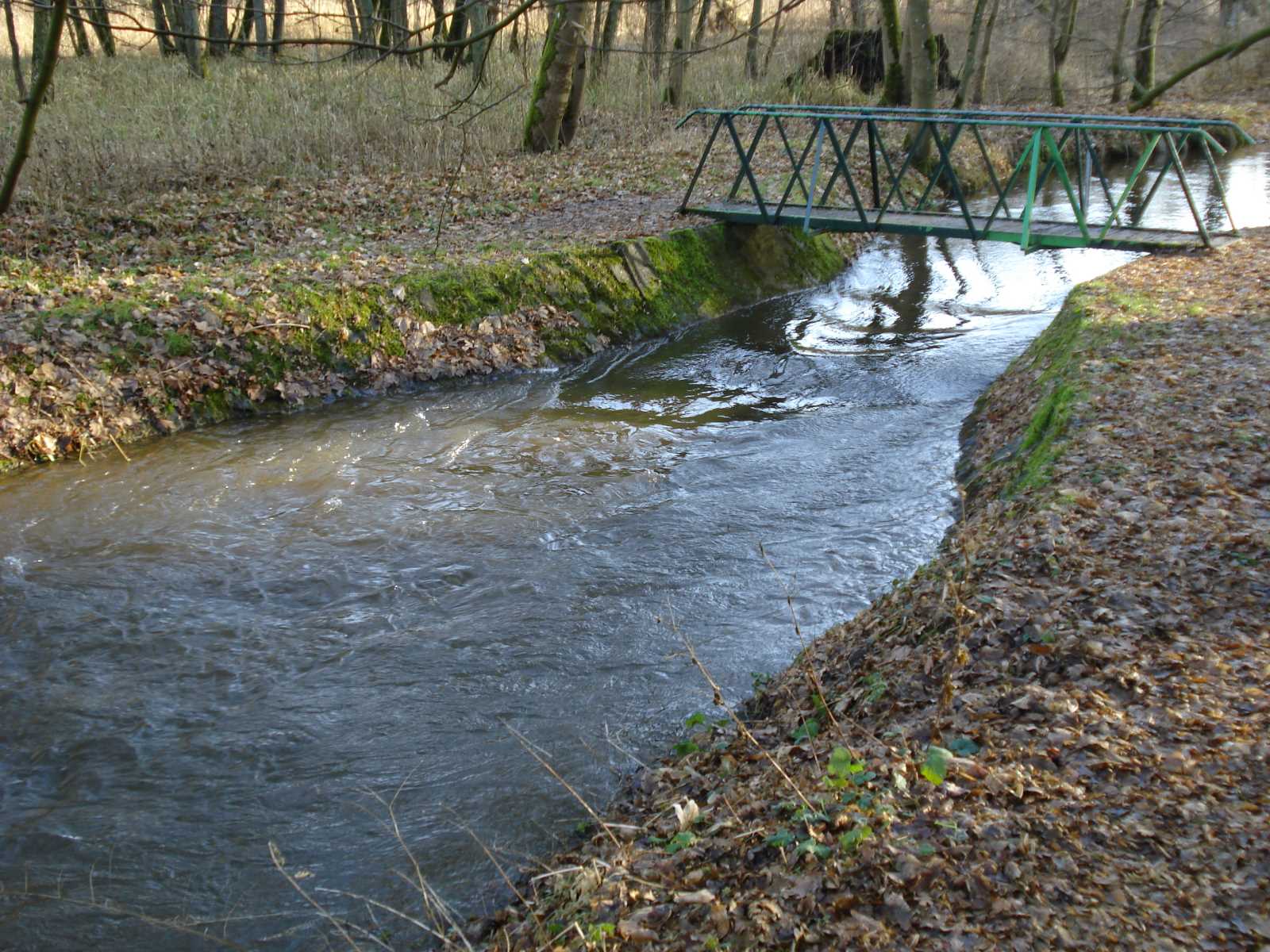 2016 Swinow - Gützkow-Hasenberg