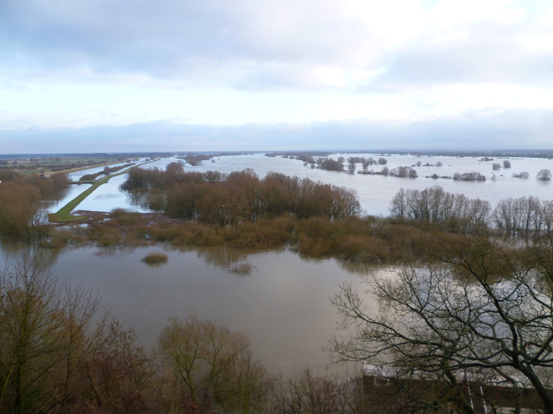 Zurückgehendes Elbehochwasser bei Boizenburg am 25. Januar 2011