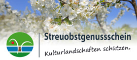 Obstbaumblüte (Externer Link: Portal, Streuobstgenussscheine erwerben, Kulturlandschaften schützen) (Externer Link: weiter zu www.streuobstgenussschein.de)